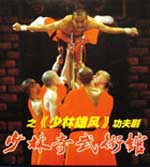 Shaolin show vcd Image