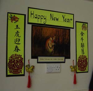 2010 Chinese new year celebration